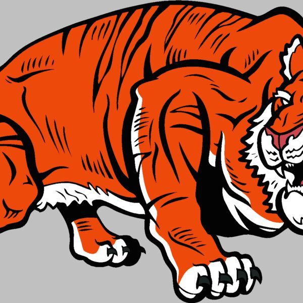 tiger18v4clr Thumbnail