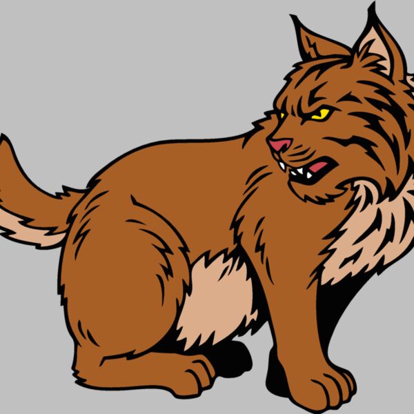 wildcatjk14 Thumbnail