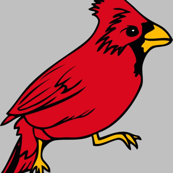 illinois cardinal 1 Thumbnail