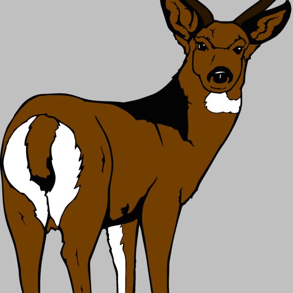 muledeer Thumbnail