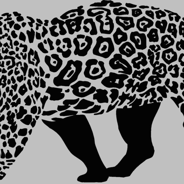 africaleopard1 Thumbnail