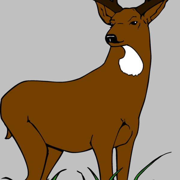 muledeer 2 Thumbnail