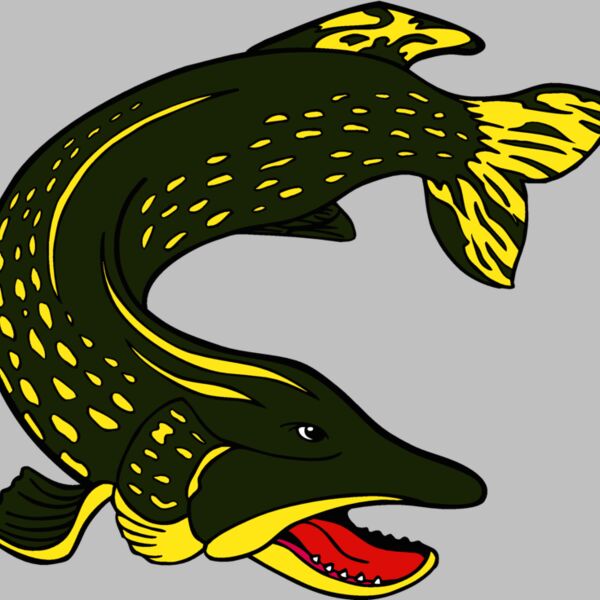 northernpike Thumbnail
