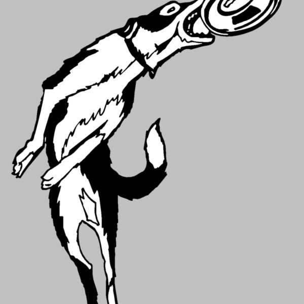 frisbeedog Thumbnail