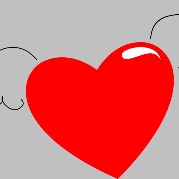 ValentineWingHeart Thumbnail