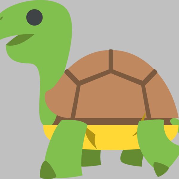 turtle Thumbnail