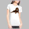 Junior Fit Cotton Boyfriend T-Shirt Thumbnail